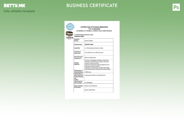 модерен стил Регистрација на јапонска компанија Шаблон Word и PDF, шаблон за вер